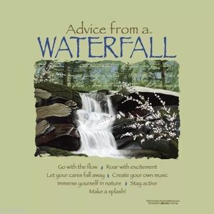 ADVICE FROM A WATERFALL T-shirt Unisex Sizes